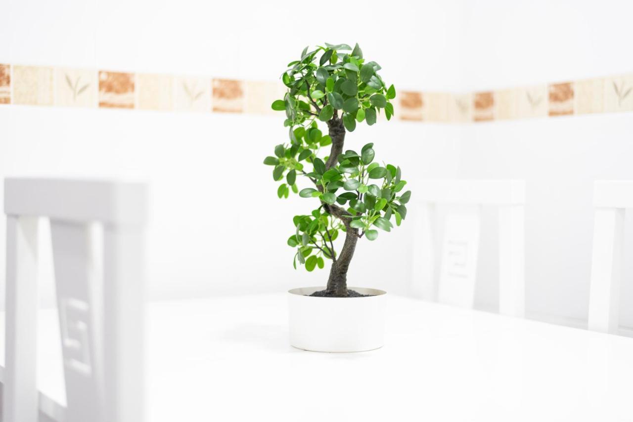 Apartamento Las Candelas, Ares Buitenkant foto